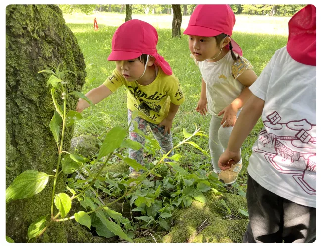 友達と一緒に学ぶ様子