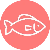 いのちと出会う