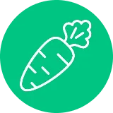 たべものといのちのつながりを知る