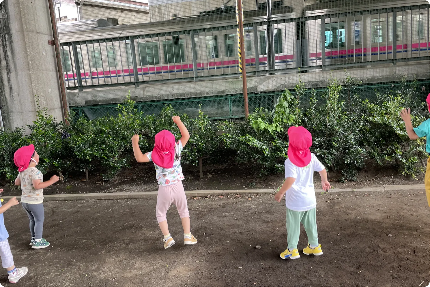 ギャラリー写真1