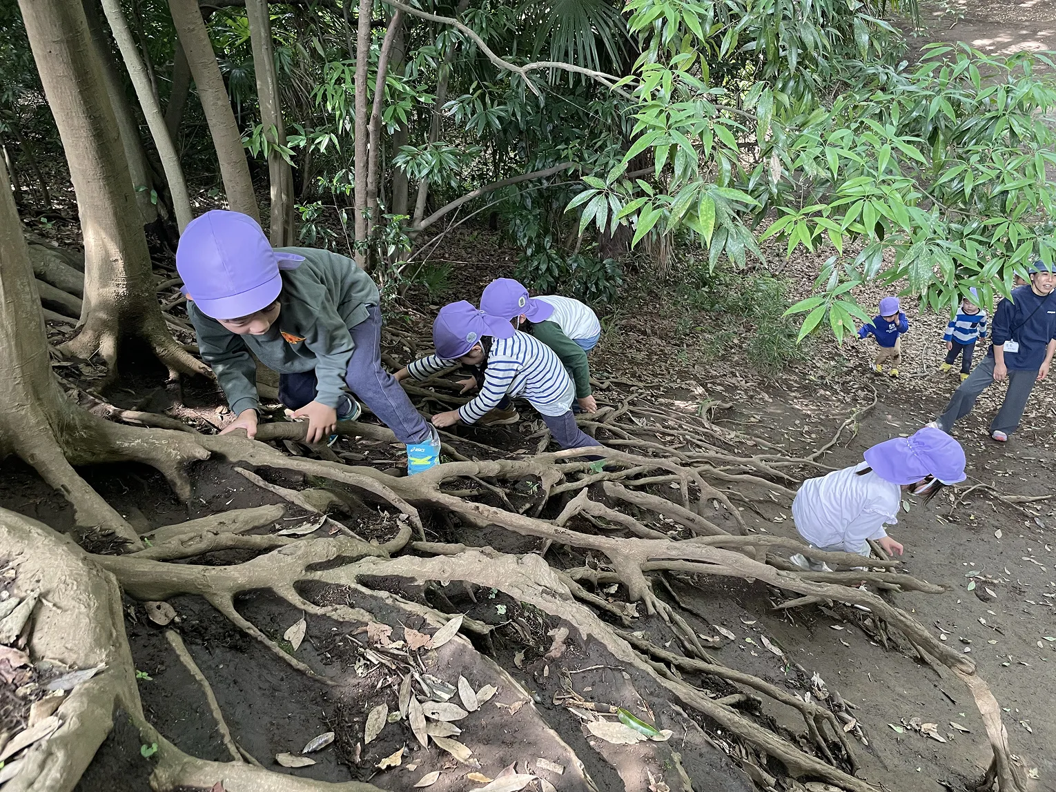 高尾山登山に挑戦する年長組