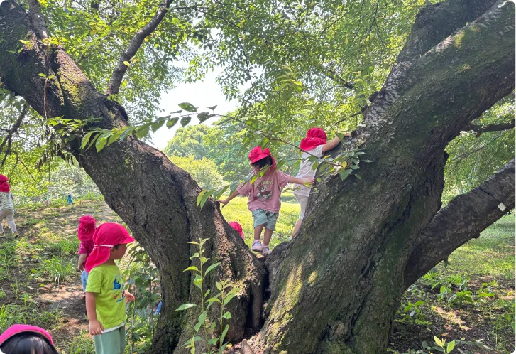 園バスでの園外活動
