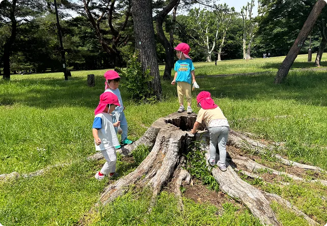 調布のまちでの体験活動